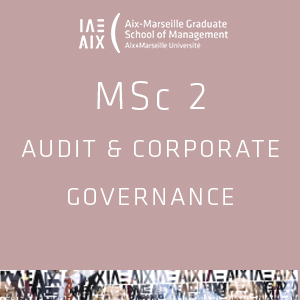 MSc 2 Audit & Corporate Governance